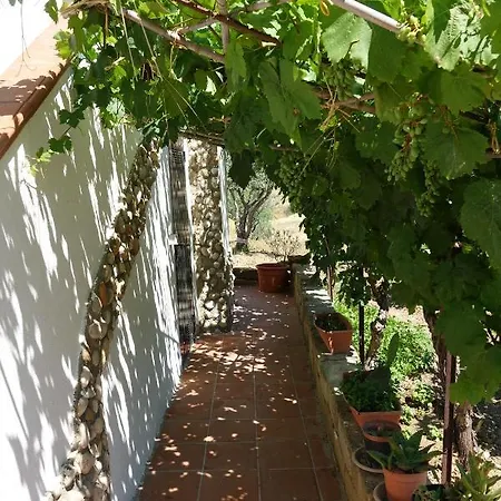Villa Nero Bianco, Havre De Paix, Oliviers, Piscine Privee Agrigento